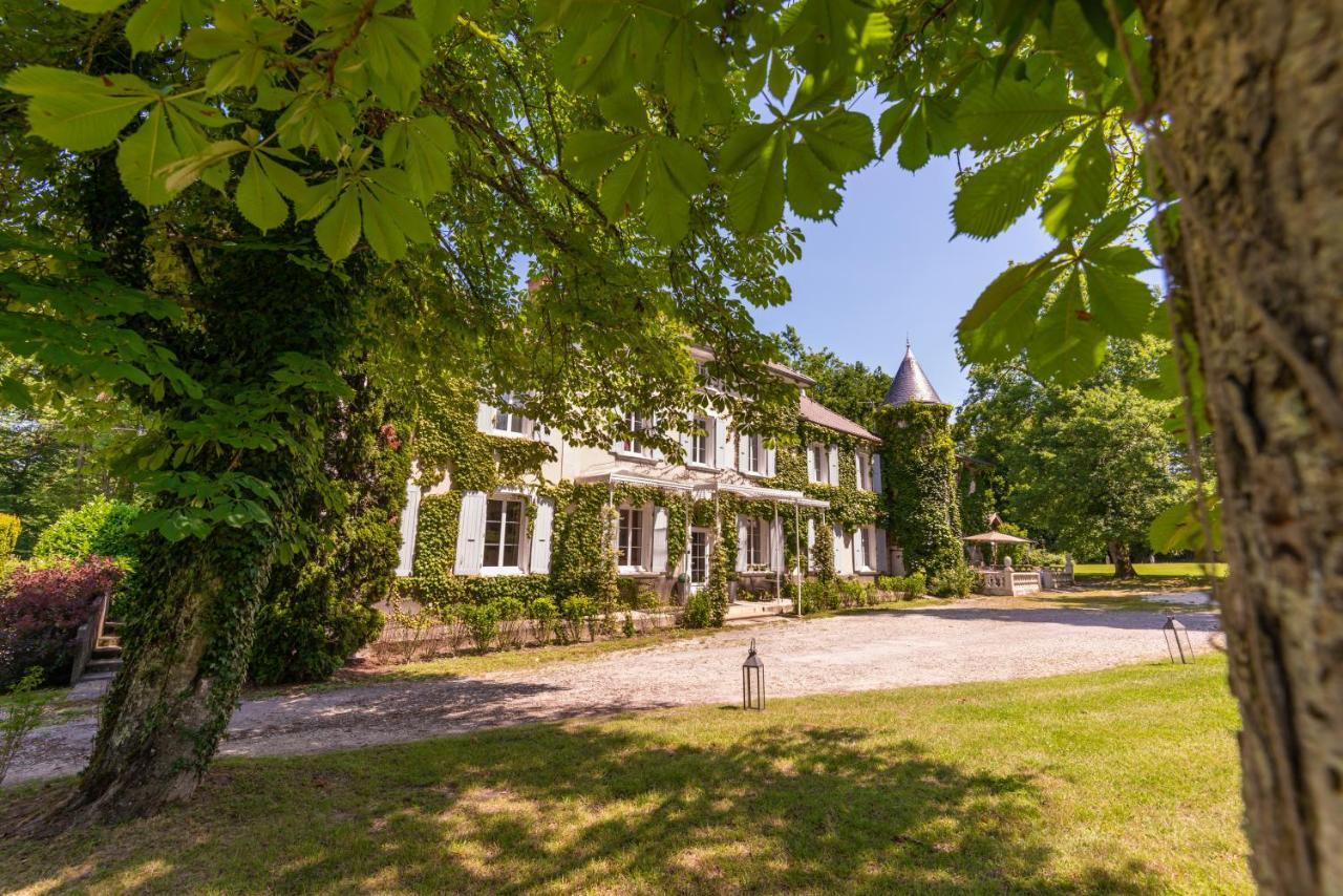 Chateau Des Ayes - Chambres & Suites Saint-Etienne-de-Saint-Geoirs Екстер'єр фото