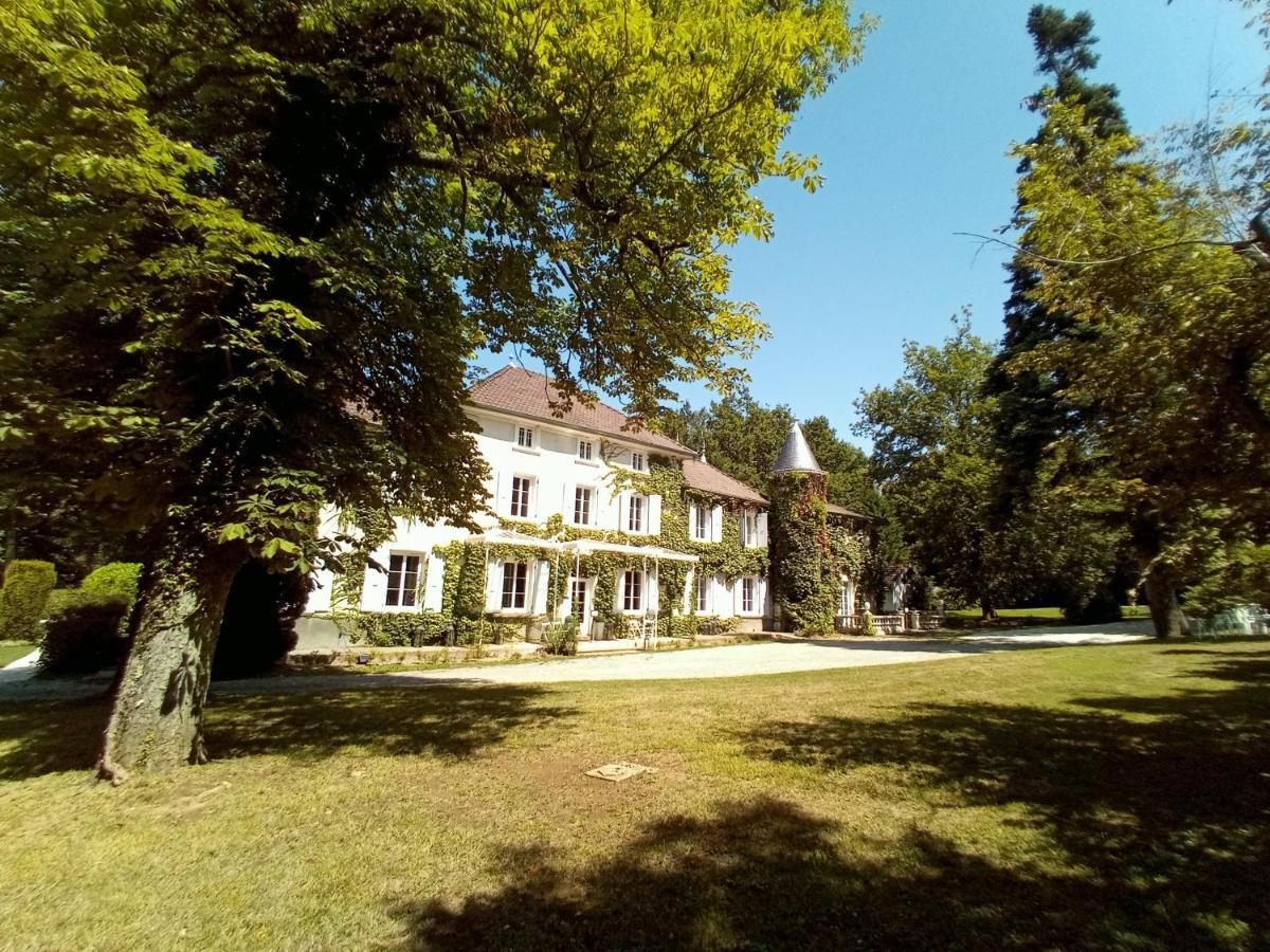 Chateau Des Ayes - Chambres & Suites Saint-Etienne-de-Saint-Geoirs Екстер'єр фото